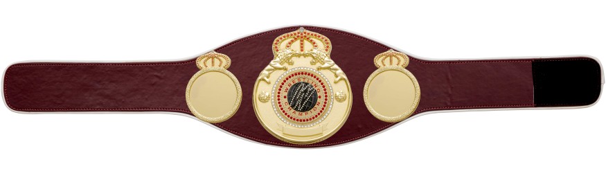 WRESTLING GEM CHAMPIONSHIP BELT PROLION/G/WRESTGEMG - AVAILABLE IN 6+ COLOURS WRESTLING GEM CHAMPIONSHIP BELT PROLION/G/WRESTGEMG - AVAILABLE IN 6+ COLOURS